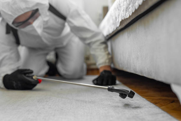 Professional Bed Bug Control technician working in Homestead Valley, CA