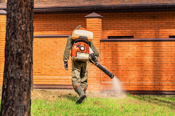 Trusted Mosquito Control service in Homestead Valley, CA - Nex Pest Control